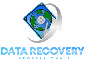 data recovery professional